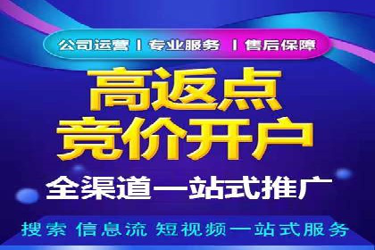 深入解析SEM竞价托管的成功案例
